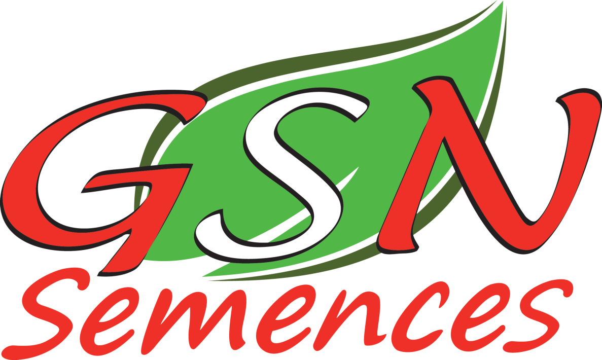 GSN-logo